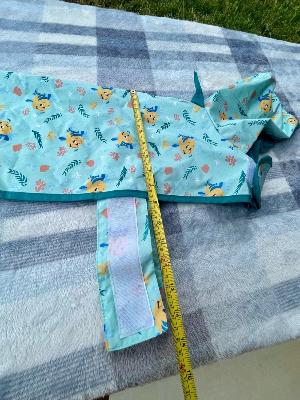 Set of dog clothes